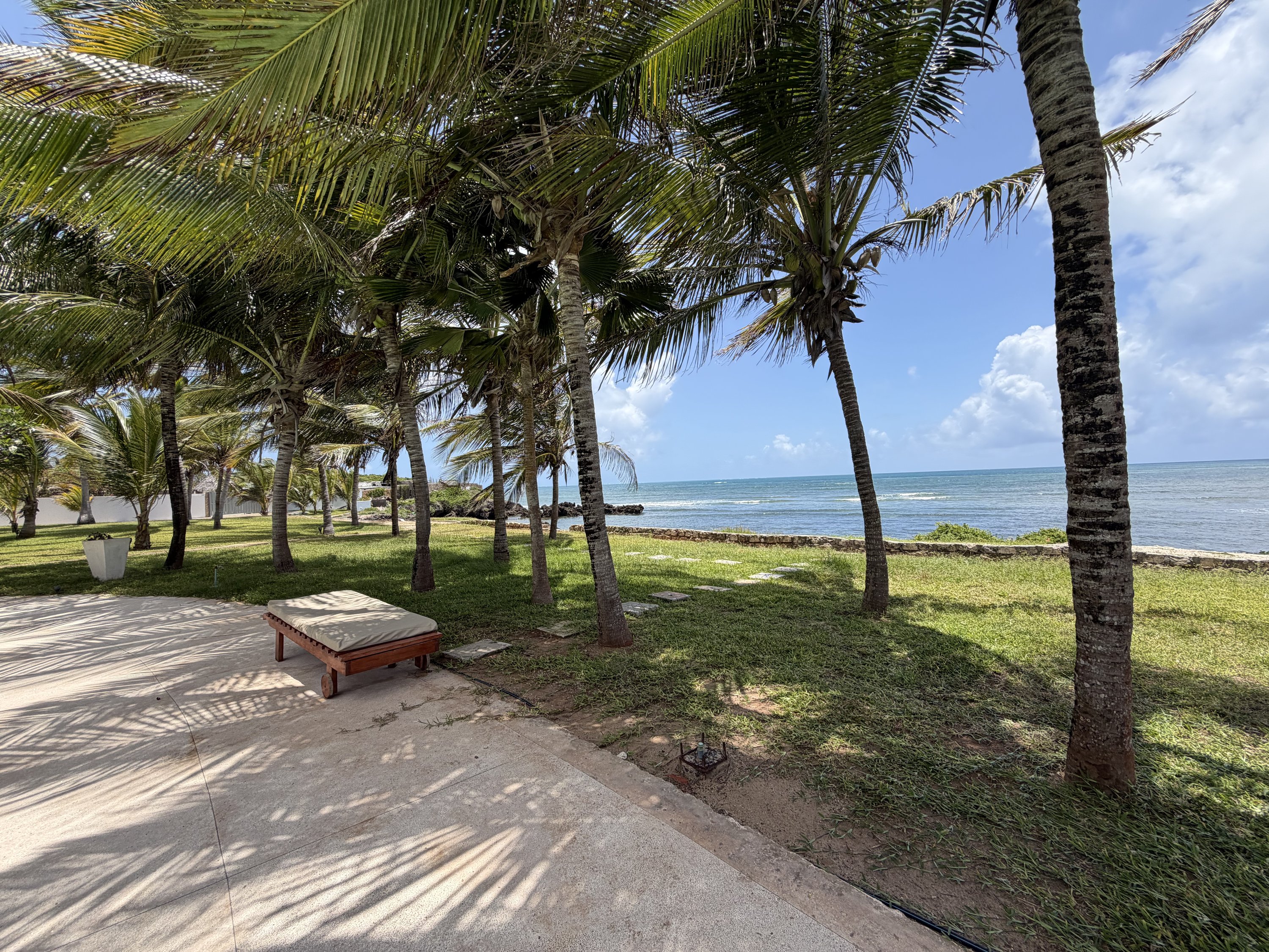 Lounger on the white-sand beach under the palms