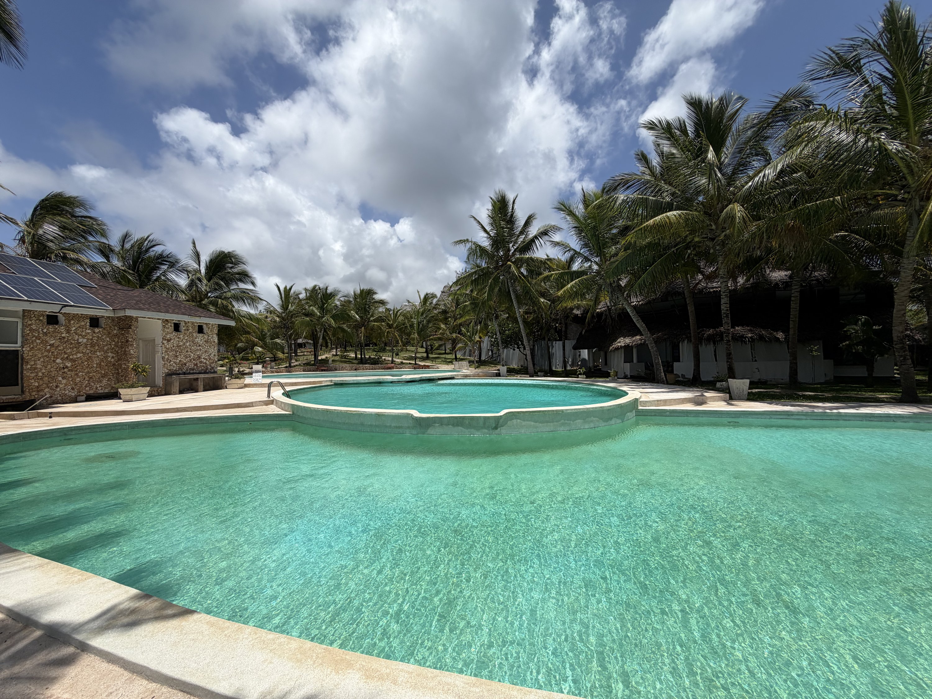 Pool panorama with palms around the villa