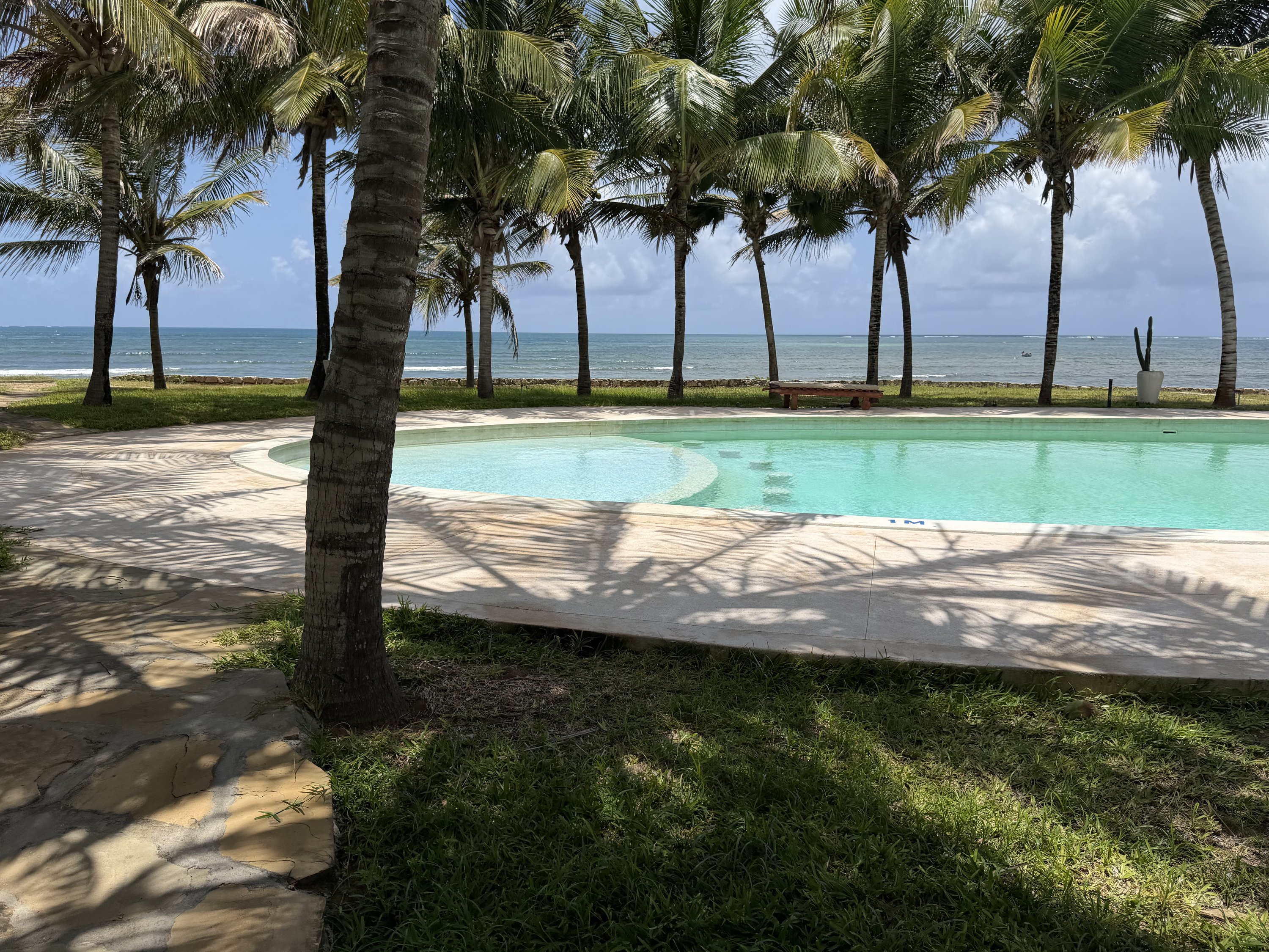 Palm trees, ocean and pool edge