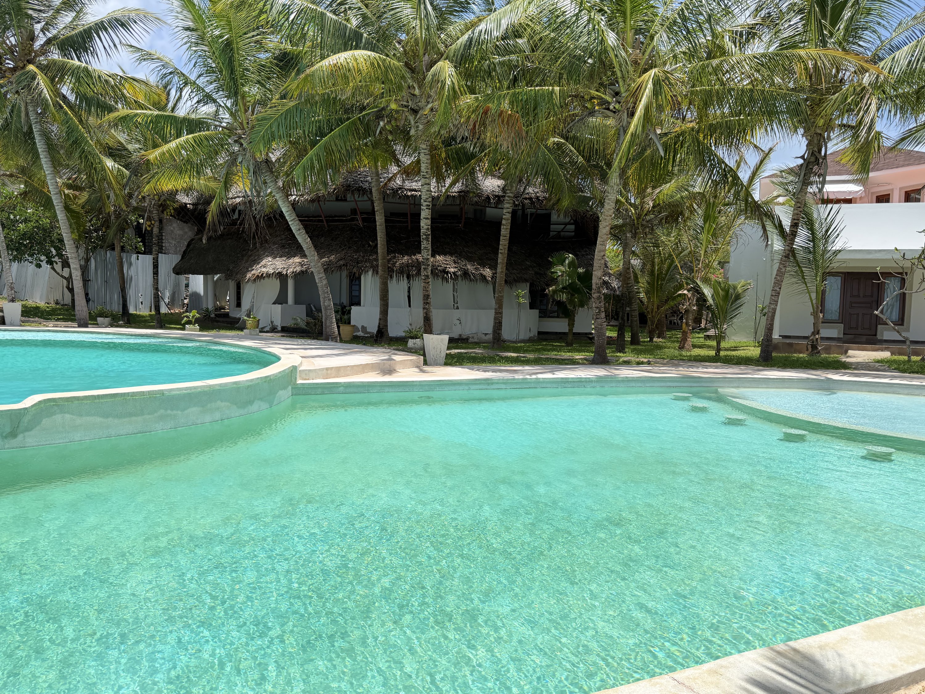 Turquoise private pool between the palms